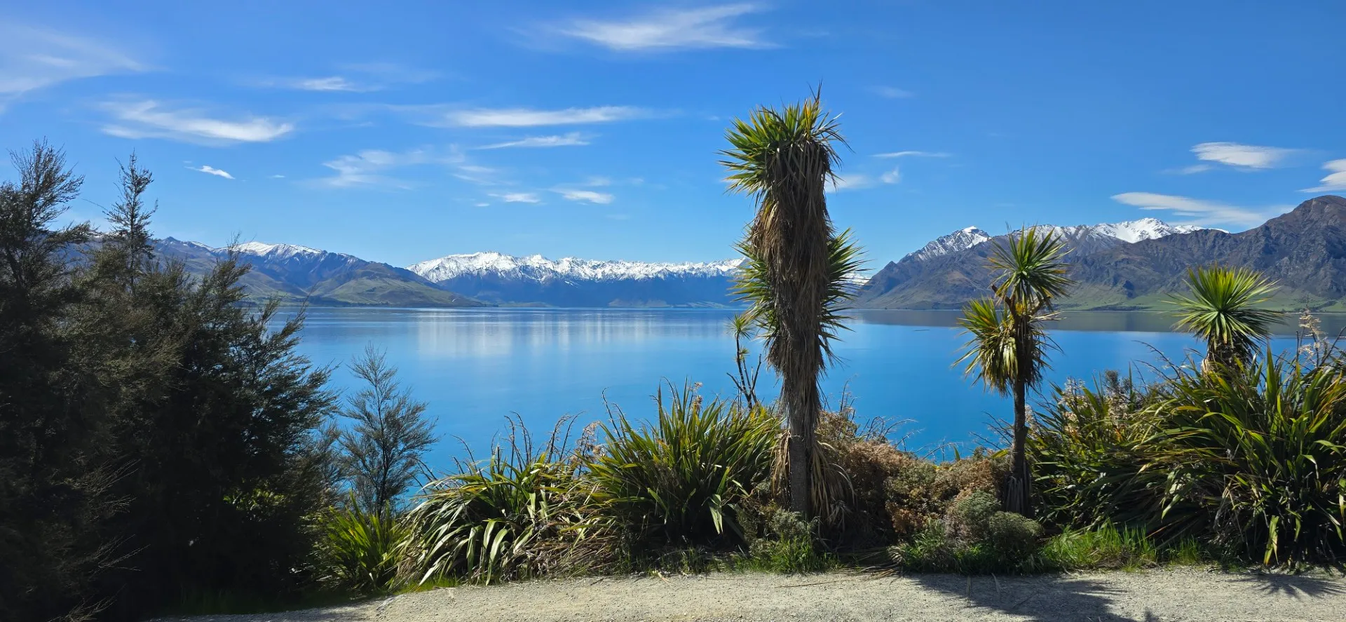 New Zealand landscape